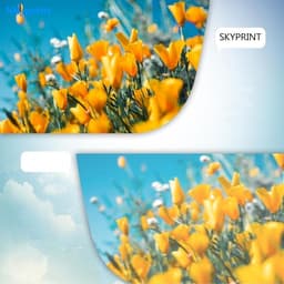 CS331 CX331 Toner Cartridge 20N10K0 Black with Chip High Yield Compatible gallery image 3