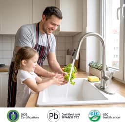 Faucets Brushed Nickel Kitchen Faucet Pull Down Sprayer Stainless Steel Single gallery image 5